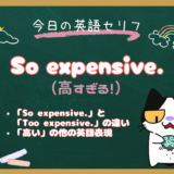 英語で「高すぎる！」は？「So expensive.」の意味と「Too expensive.」との違い｜朝ドラ『風、薫る』第13話より