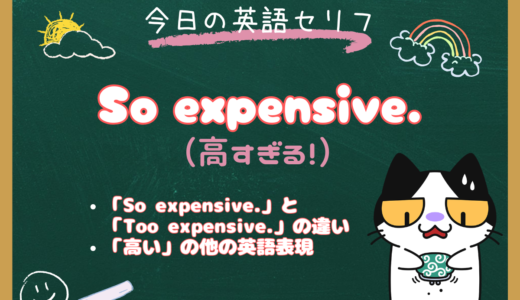 英語で「高すぎる！」は？「So expensive.」の意味と「Too expensive.」との違い｜朝ドラ『風、薫る』第13話より